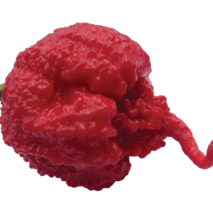 produto - carolina reaper